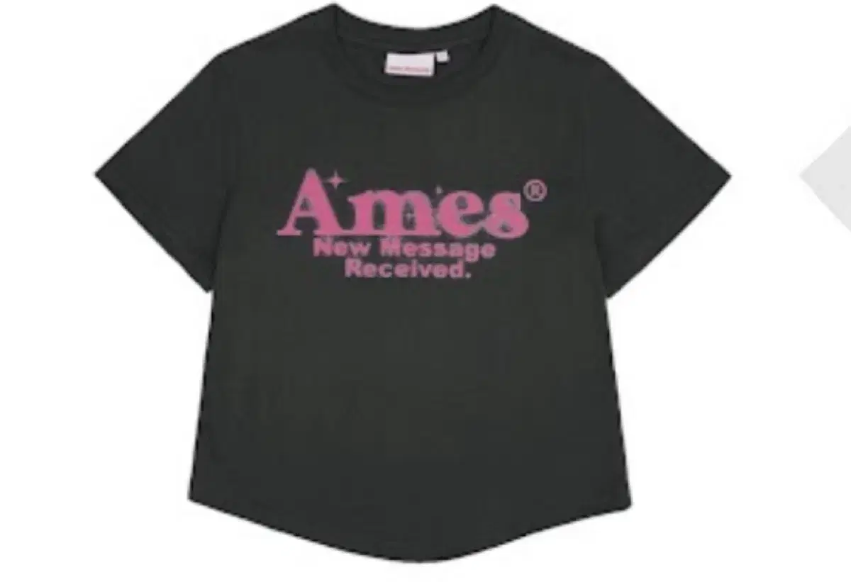 AMES ROUND HEM CROP TEE